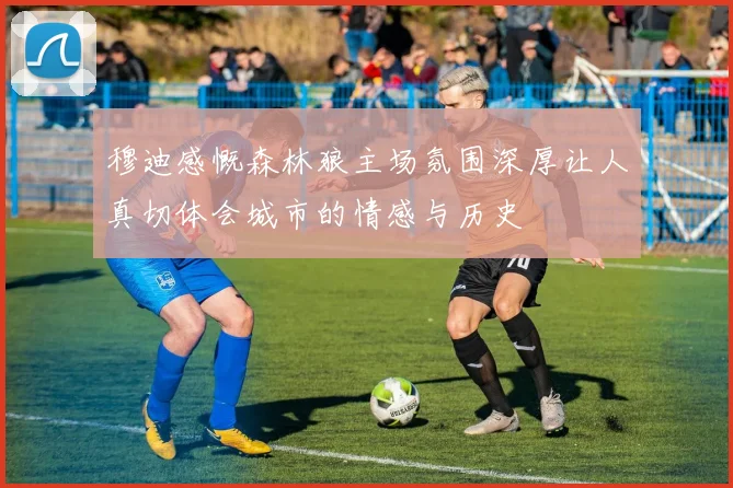 穆迪感慨森林狼主场氛围深厚让人真切体会城市的情感与历史